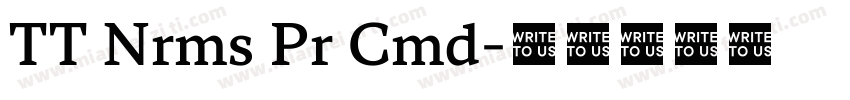 TT Nrms Pr Cmd字体转换